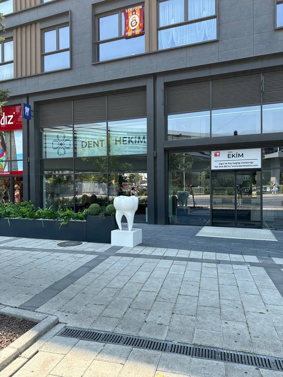 Irdexa | Dev Diş Formlu Kaideli Heykel